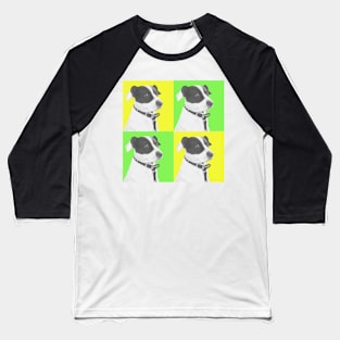 Gizmo in Yellow and Green Baseball T-Shirt